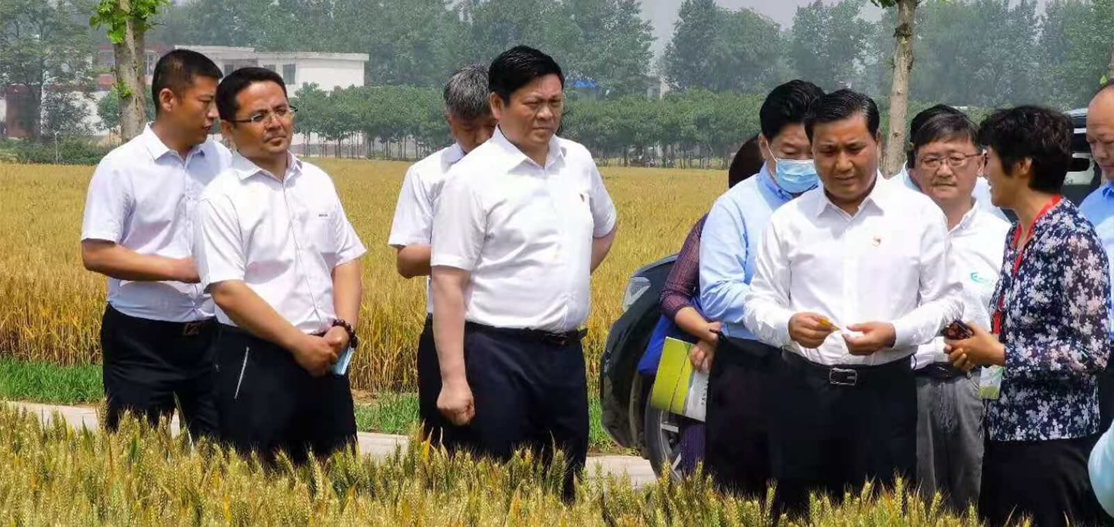 东升国际节水