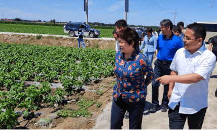 东升国际节水 东升国际节水