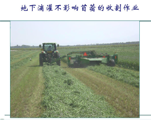 东升国际节水