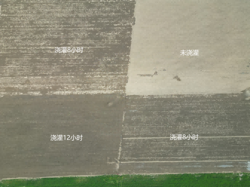 东升国际节水