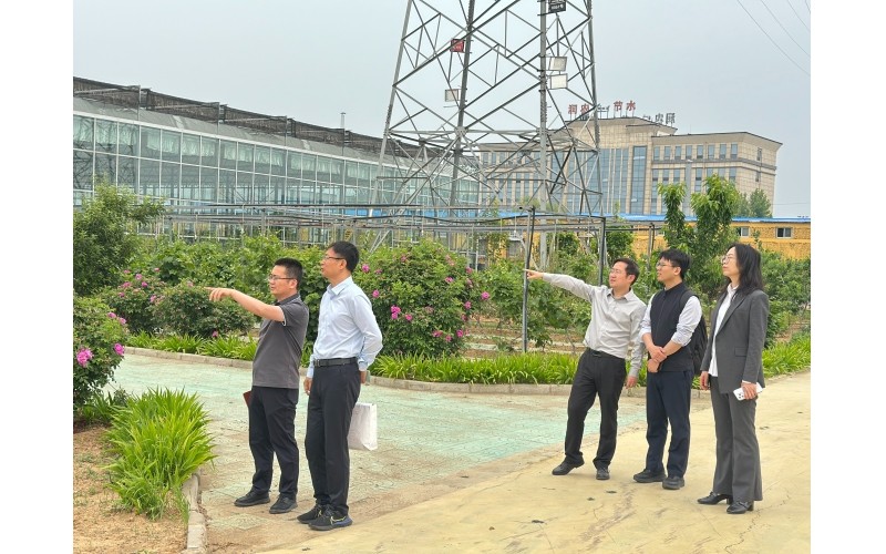 河北证监局监管处领导莅临东升国际节水开展例行走访调研，指导公司高质量发展